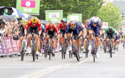 JetConsult slaat vleugels uit boven Veenendaal-Veenendaal